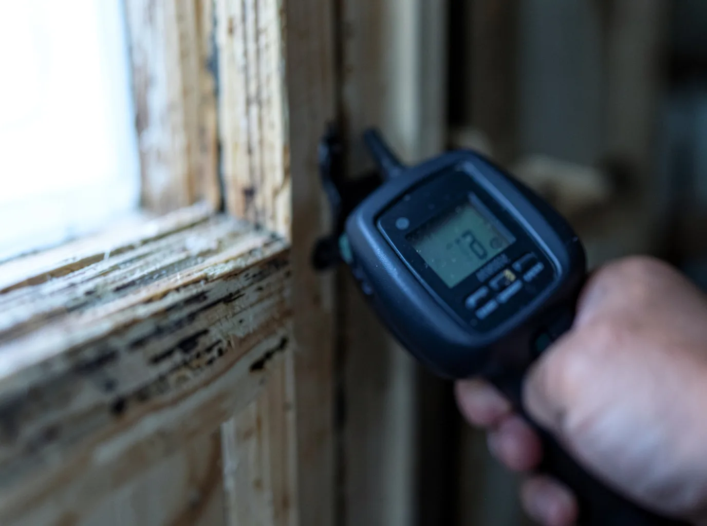 Moisture Inspection And Documentation in Rexville, NY